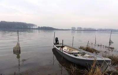 Изчезва ли дунавската риба?