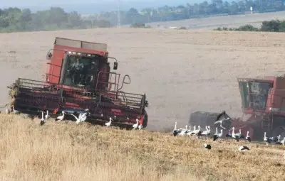 Зеделската земя е поскъпнала с 8.6%