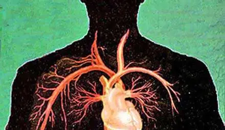 Върнаха към живот жена след 42 минути в клинична смърт