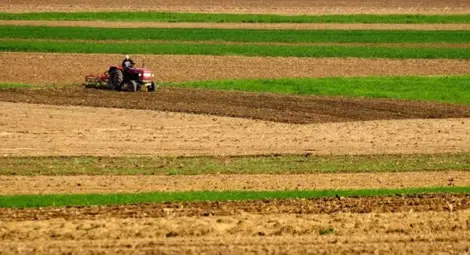 Между 40 и 65 лева рента в община Иваново