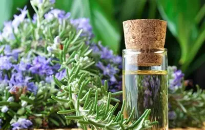 Домашни хитрини: Как да се пазим от комари