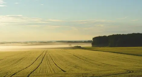 80 общински ниви излизат на търг със стартов наем от 60 до 72 лева на декар 80 общински ниви излизат на търг със стартов наем от 60 до 72 лева на декар