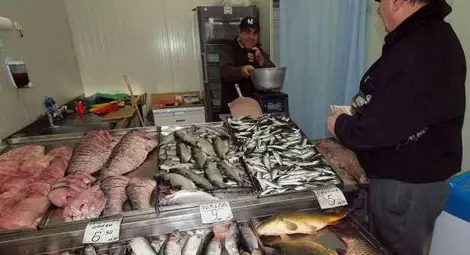 Иззеха над 1 тон риба в Бургас Иззеха над 1 тон риба в Бургас