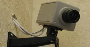 Камери заснели как счетоводител товари 87 кг крадено месо в камион