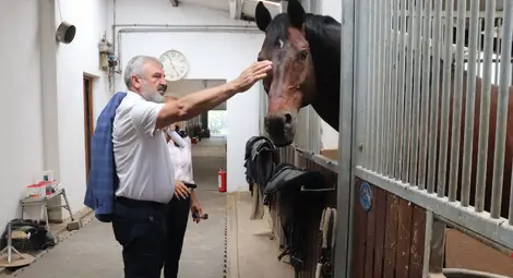 Обсъждат се възможности за модернизиране на Хиподрума в Русе чрез европейски средства