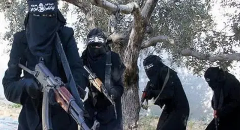 Руските бомби принудиха "Ислямска държава" да смени джиповете с коне!