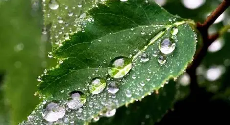 НИМХ: Днес ще има краткотрайни валежи, с максимални температури между 24° и 29° НИМХ: Днес ще има краткотрайни валежи, с максимални температури между 24° и 29°