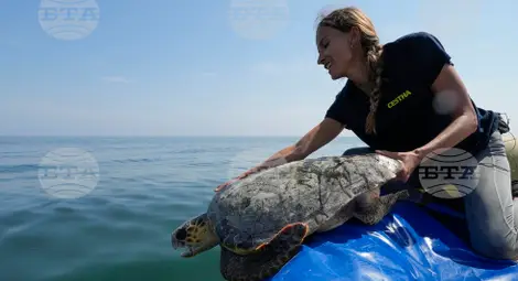 Снимка: БТА