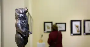 Показаха как изглеждат „под лупа“ различни животни