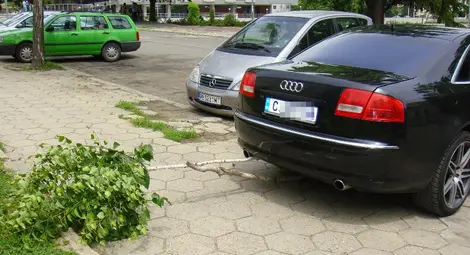 Наглец посече брезичка, за да паркира туловището на "Ауди"-то си в столицата