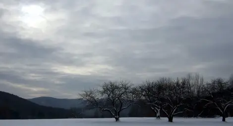 Облачно, преваляванията следобед ще спират Облачно, преваляванията следобед ще спират