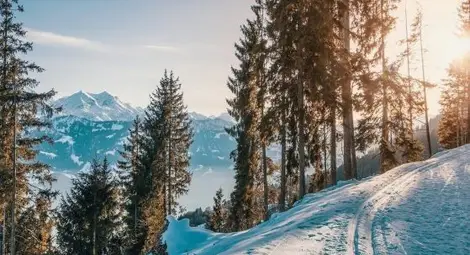 Валежите спират, до минус 12 градуса сутрин през следващите дни
