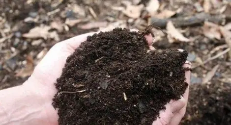 Плащаме най-скъпо тока от фекалии - 483 лева за мегаватчас