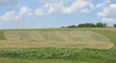 Надписът „Оставка“ остана само един ден на общинското пасище в Бъзън Надписът „Оставка“ остана само един ден на общинското пасище в Бъзън