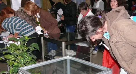 Университетът отвори залите си за кристалната нощ на учените