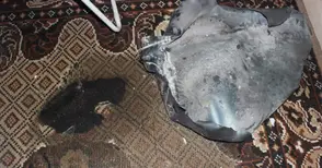 Взрив изхвърли таван на кола на 6-ия етаж