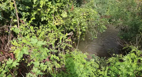 Ерозия на ската на река Черни Лом застрашава водопровод&nbsp;  в Две могили