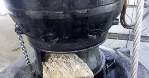 Сава Савов: Хвърлените в тоалетната мокри кърпички блокират пречиствателната станция