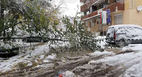 Снимка: БТА