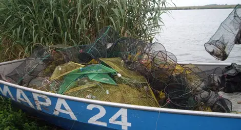 Бракониер отнася до 3000 лева глоба за  стопански риболов без разрешително