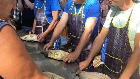 Рибният фест в Бръшлен с оригинална покана: Заповядайте на вкусна рибена чорба, няма да опитате такава нийде по света