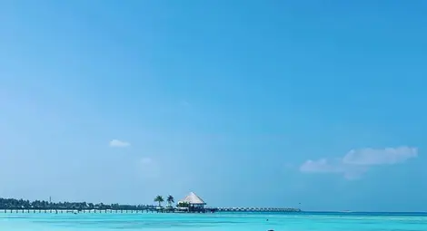 Глория и любимият ѝ там, където океанът и небето се сливат /галерия/