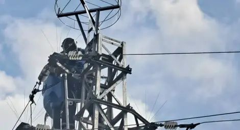 Служители на ЕРП Север подпомогнаха безопасното изграждане на гнездо на щъркели в русенското село Бръшлен /галерия/ Служители на ЕРП Север подпомогнаха безопасното изграждане на гнездо на щъркели в русенското село Бръшлен /галерия/