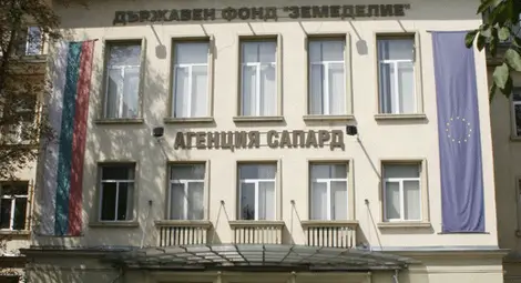 Русенка в новото ръководство на ДФ "Земеделие"