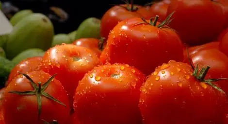 Пуснаха опасни домати на пазара