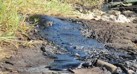 В горещото време гудронът избиваше от ямите.     Снимка: Архив