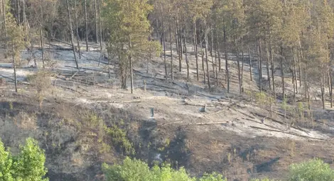 Пожарната след постове във ФБ за ново разгаряне край Средна кула и Долапите: Нищо не гори, траверсите и дънерите тлеят около три дни