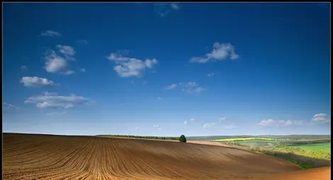 Арендаторите пробват ниски цени на търга за държавни ниви