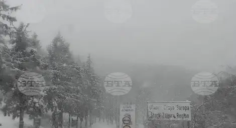 Снимка: БТА