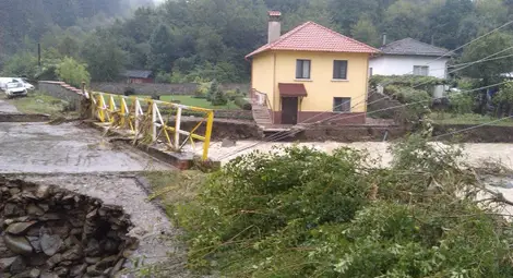 Пострадали в Берковица: Безразборна сеч е причинила наводнението - снимки от поредната трагедия