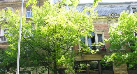 Двата адреса на Елиас Канети продължават да чакат реална подялба