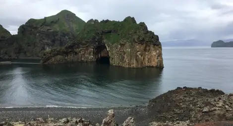 Исландия ще прекрати лова на китове до 2024 г.