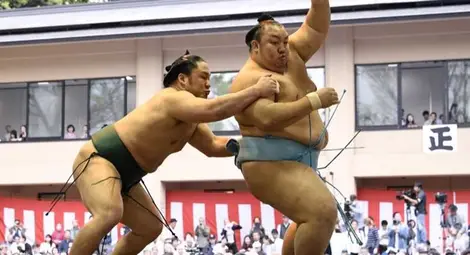 20 000 калории дневно и достойно поведение - пътят на професионалния сумист към успеха