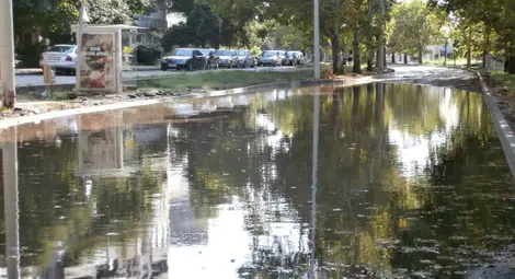 Море на некадърието върху пресния асфалт на &bdquo;Липник&ldquo;