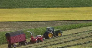 400 лева разлика в цените на нивите в община Иваново