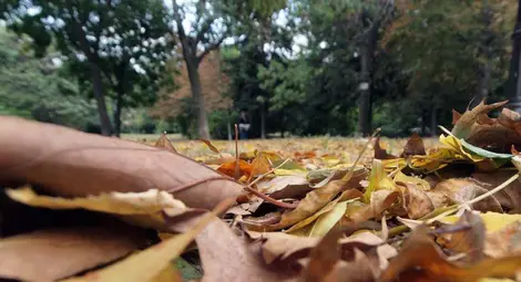 Жълт код за дъжд в пет области, температурите падат