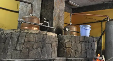 Внимавайте с домашната ракия! Първакът е силна отрова