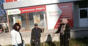 Круша попълни живата колекция плодни дръвчета пред галерията