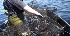 Винтери и бракониерски мрежи извадени от Дунав и Янтра