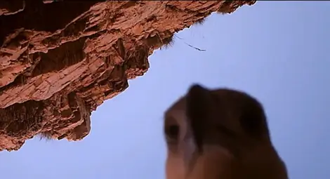 Орел крадец сви видеокамера, засне полета си