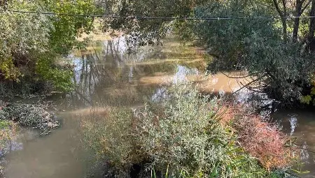 Общински съветник сигнализира за опасен &bdquo;остров&ldquo; в Русенски Лом в Басарбово