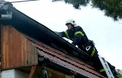 Спасители свалиха от покрив избягала котка и стопанката й