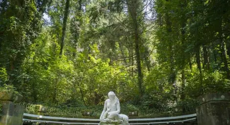 Планът за реконструкцията на лесопарка зацикли Планът за реконструкцията на лесопарка зацикли