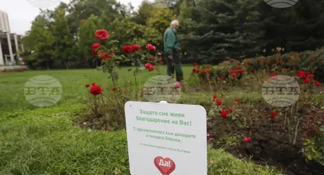 Снимка: БТА