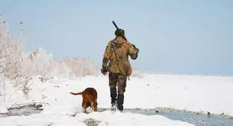 Последни дни за групов лов на дива свиня