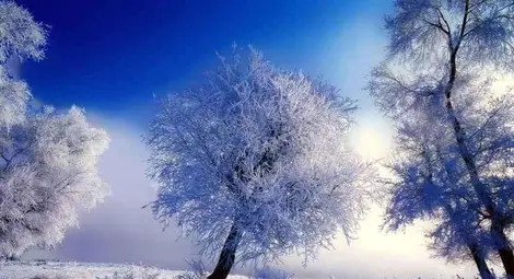 Прогноза за времето за 1 януари 2013 г.